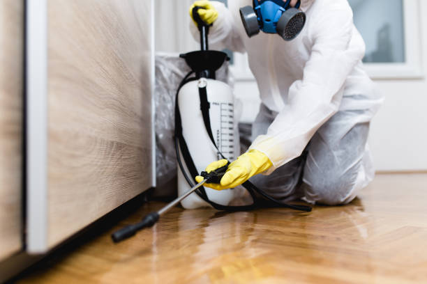 Best Ant Control Services  in Ponderay, ID