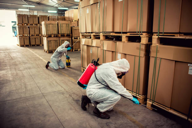 Pest Prevention Services in Ponderay, ID