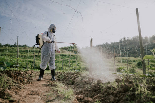Best Best Pest Control Companies  in Ponderay, ID