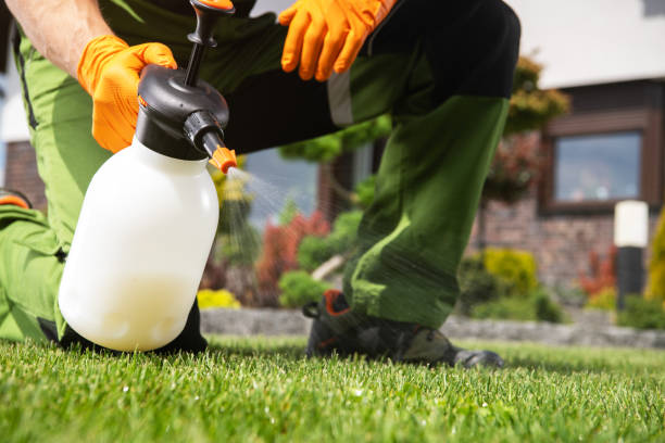 Best Affordable Pest Control Services  in Ponderay, ID