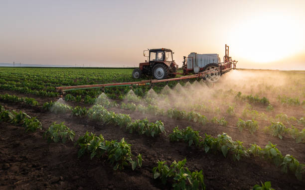 Best Mosquito Control Services  in Ponderay, ID