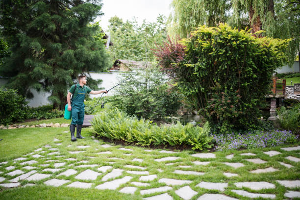 Best Affordable Pest Control Services  in Ponderay, ID