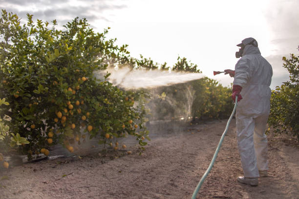 Best Wildlife Control Services  in Ponderay, ID