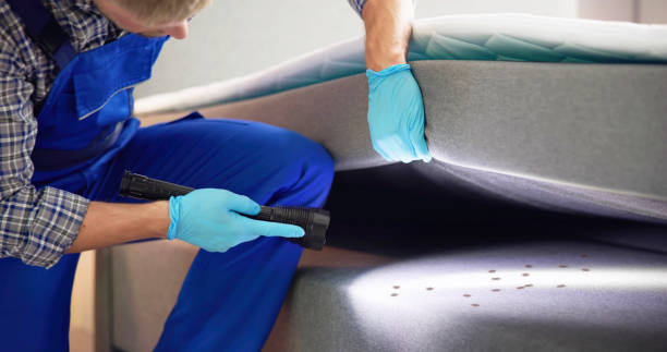 Best Residential Pest Control  in Ponderay, ID