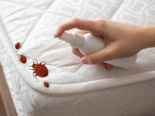 Best Commercial Pest Control Services  in Ponderay, ID