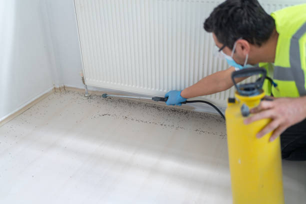 Best Wasp Removal Services  in Ponderay, ID